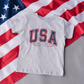 Classic USA Toddler Tee