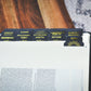 Bible Tabs (Catholic Edition) - Light to My Path