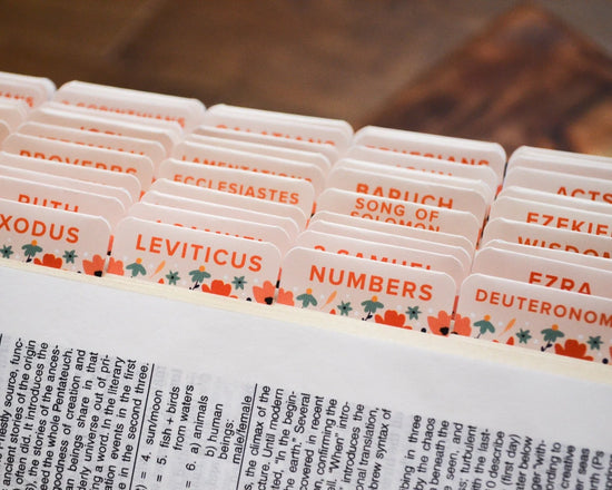 Bible Tabs (Catholic Edition)